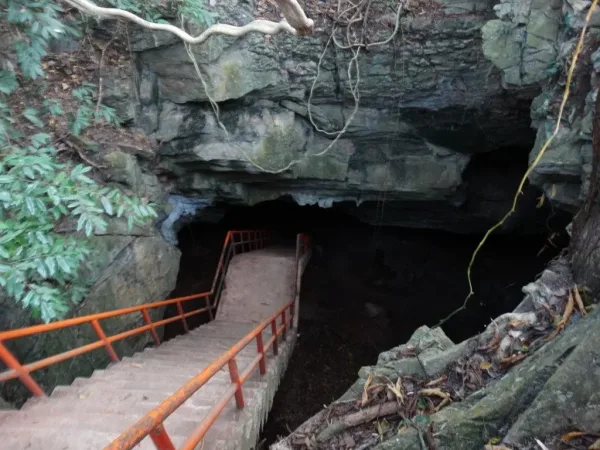 Haew Sai Bat Cave, Kao Yai National Park