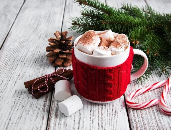 Sip Hot Chocolate at a Cozy Café, fate ideas for Toronto