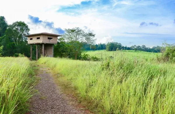 Nong Phak Chi Wildlife Observation Tower, hidden ghems in Khao Yai national park