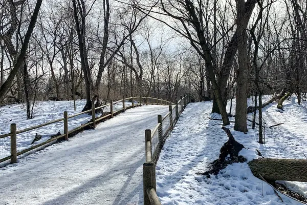 Take a Winter Walk Through High Park, Toronto date ideas