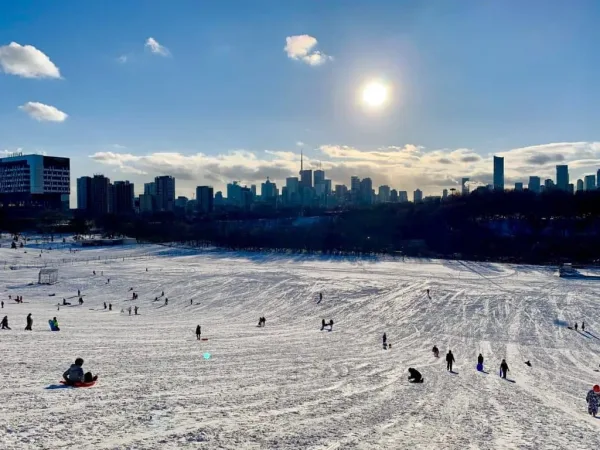 Enjoy a Winter Picnic at Riverdale Park, date ideas in Toronto