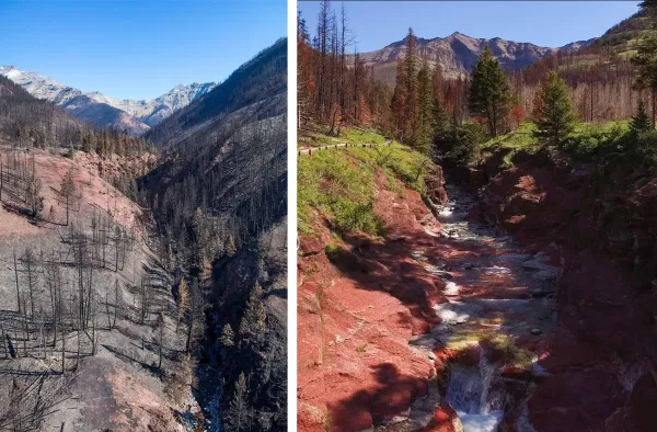 Red Rock Canyon, Waterton, things to do near Calgary