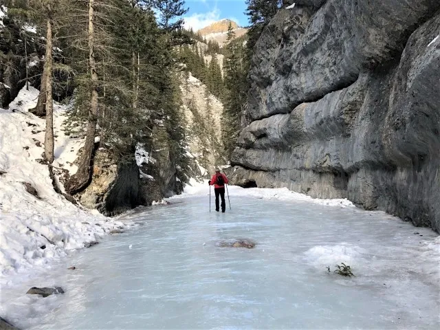 Grotto Canyon Ice Walk, things to do near Calgary