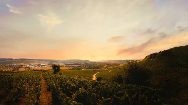 Chablis, weekend trip from Paris