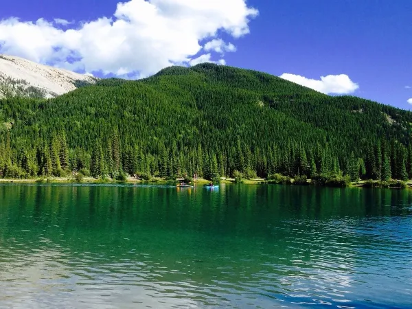 Forget-Me-Not Pond, Things to do around Calgary