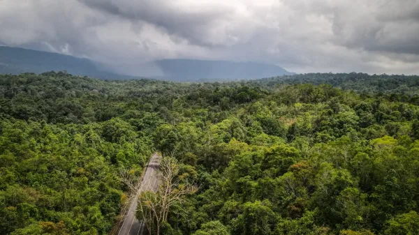 Yod Khao Khieo Mountain, Khao Yai