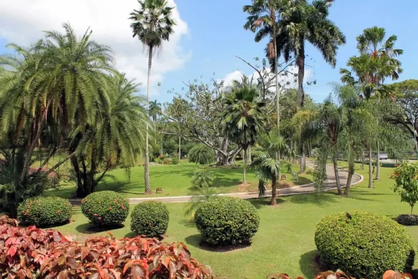 Walk Through the Royal Botanic Gardens, Trinidad and Tobago