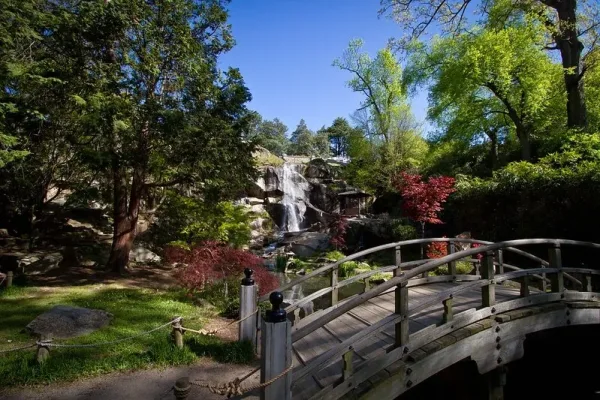 Picnic + Book Swap at Bryan Park, date night ideas in Richmond