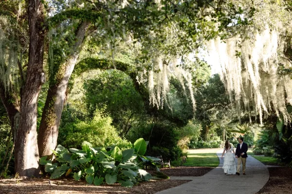 Fairchild Tropical Botanic Garden, Miami things to see