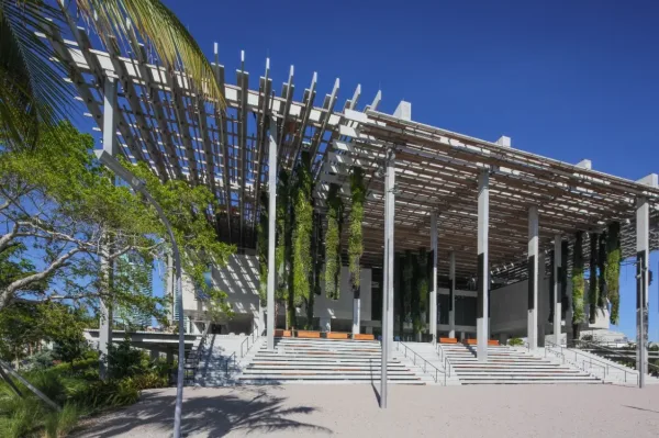 Pérez Art Museum Miami (PAMM), things to do in Miami