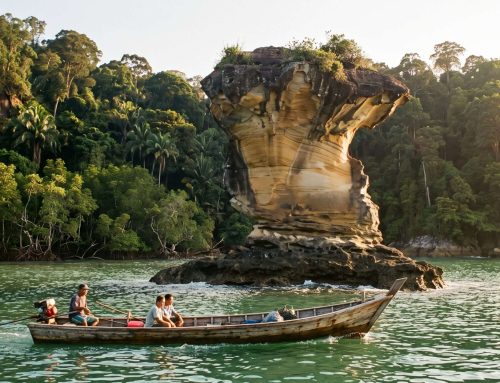 Kuching to Bako National Park: Tide Logistics & Wildlife Tracking (Borneo Day 1)
