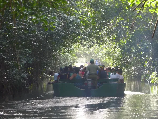 Take a Boat Tour in Caroni Bird Sanctuary, cruise to Trinidad