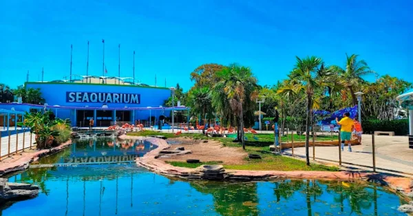 Miami Seaquarium, what to visit in Miami
