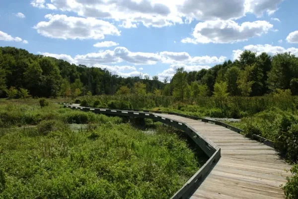 Picnic at Huntley Meadows Park, Romantic date night ideas in Alexandria