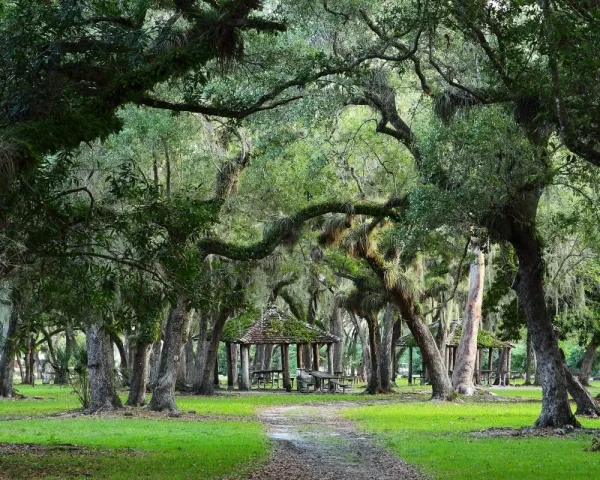 Picnic at Matheson Hammock Park, Miami dating ideas