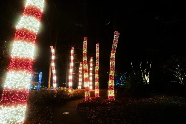Visit Cheekwood Holiday Lights in Winter, Nashville dating