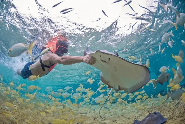 Stingray Beach, Cozumel Cruise port