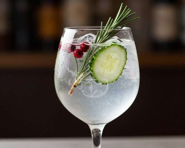 A gin and tonic cocktail with botanical garnishes A gin and tonic cocktail with botanical garnishes