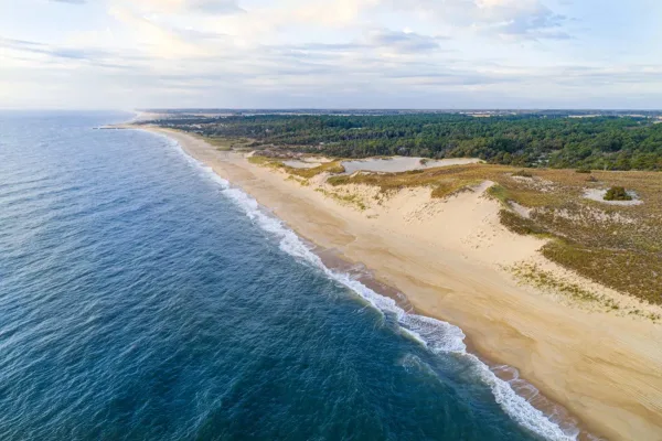 Explore Cape Henlopen State Park Together, things to do in Rehoboth Beach