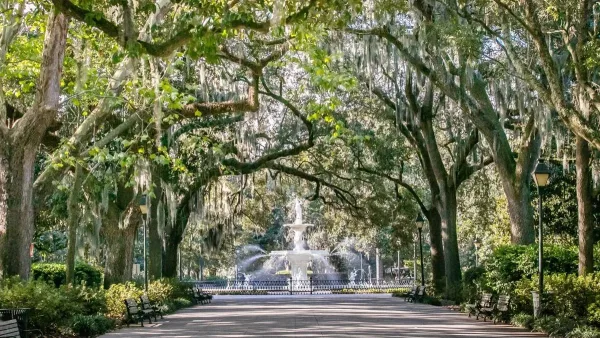 Picnic in Forsyth Park, date night ideas in Savannah GA