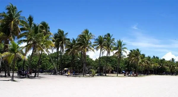 Beach Walks at North Shore, dates in Miami