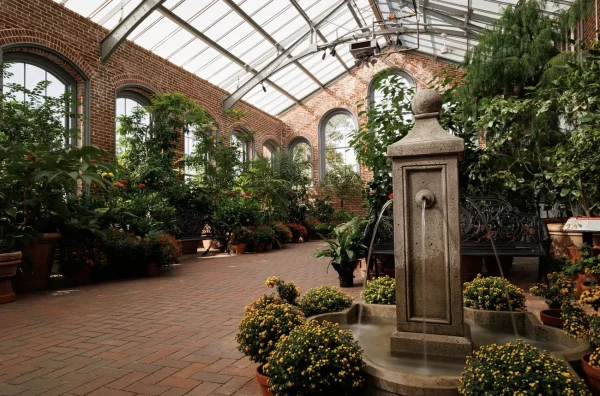 Missouri Botanical Garden, St. Louis, places to see cherry blossoms in USA