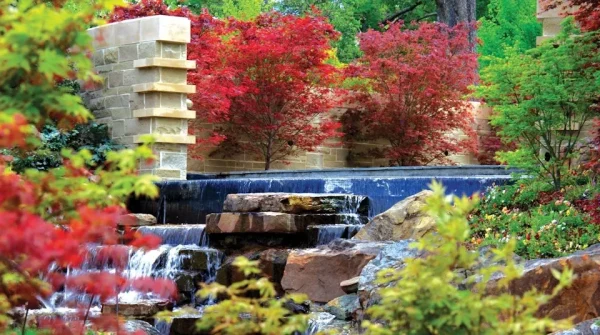Dallas Arboretum and Botanical Garden, Texas, where to see cherry blossom in USA