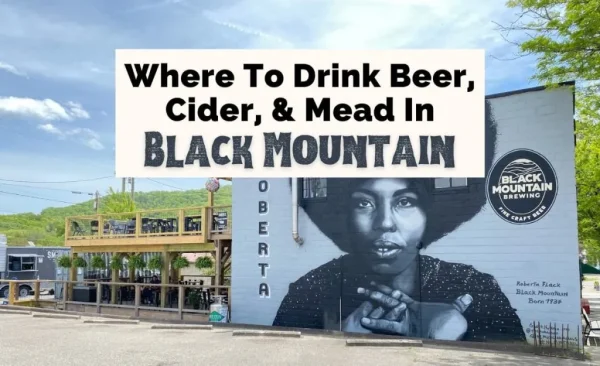 Black Mountain Brewery Day Trip - Mountain Brews Beyond the City, brewery tours in Asheville