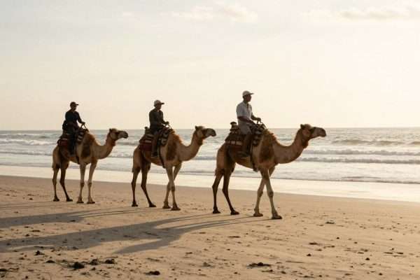 Camel rides along Geger Beach at sunset Camel rides along Geger Beach at sunset