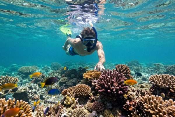 Person snorkeling among colorful fish at Geger Beach Person snorkeling among colorful fish at Geger Beach
