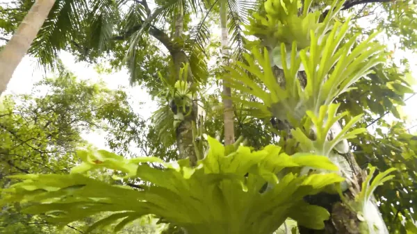 Mt Warning Rainforest Retreat, weekend trips from Brisbane