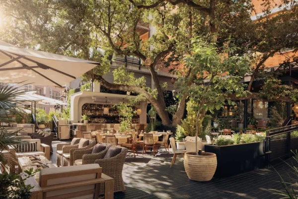 Aba - Mediterranean Under the Oaks, dating in Austin