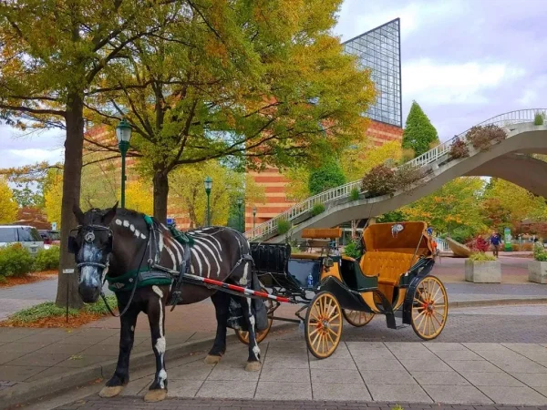 Take a Romantic Horse and Carriage Ride, date night ideas in Chattanooga