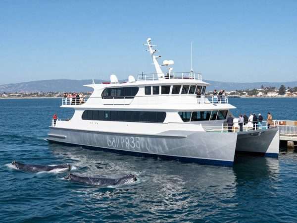 dana wharf whale watching catamaran with passengers
