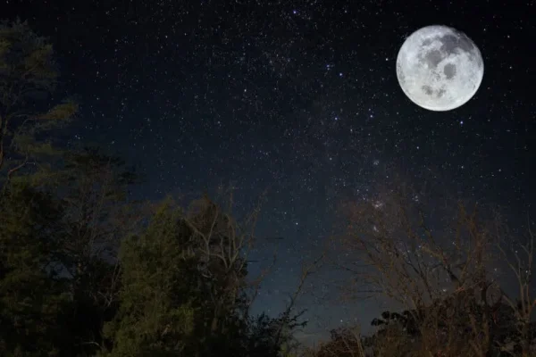 Explore Bernheim Forest on a Full Moon Walk, date night ideas in Louisville