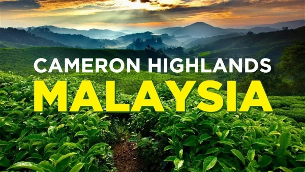 Cameron Highlands: Tea Plantations and Cool Climate, weekend getaways from KL