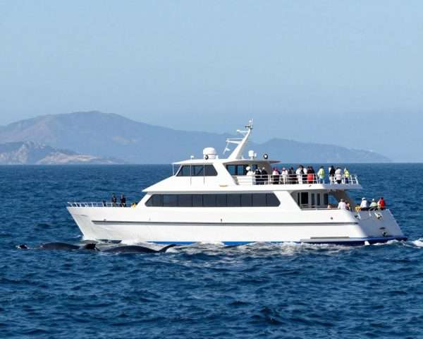 newport landing whale watching vessel on pacific ocean