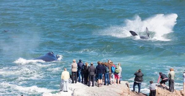 Hermanus, weekend getaways from Cape Town