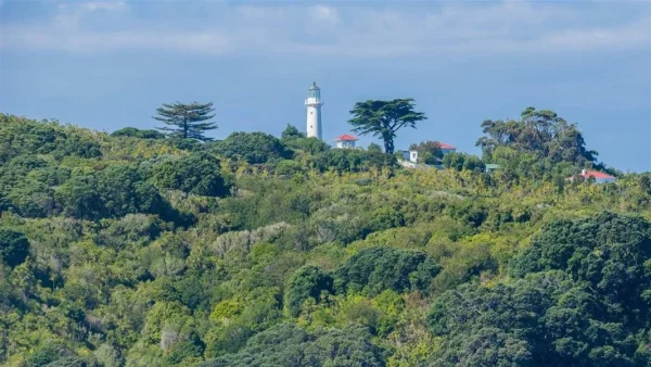 Tiritiri Matangi Island, weekend getaways from Auckland