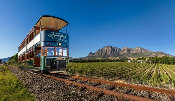 Cape Winelands (Stellenbosch and Franschhoek), day trips from Cape Town