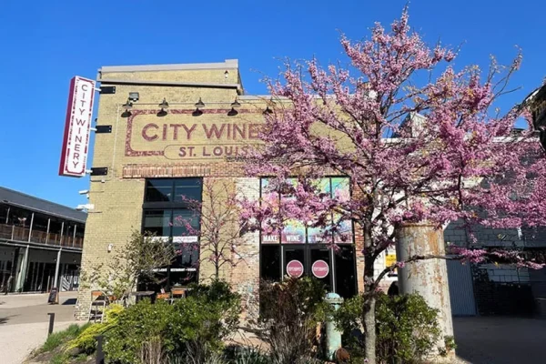 City Winery St. Louis, date night ideas in St Louis