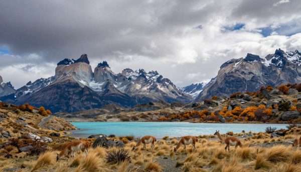 Patagonia landscape with mountains lakes and autumn colors in May Patagonia landscape with mountains lakes and autumn colors in May