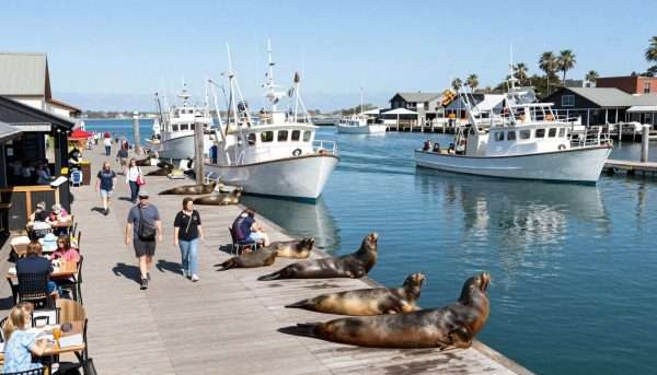 Redondo Beach Harbor with boats and waterfront restaurants Redondo Beach Harbor with boats and waterfront restaurants