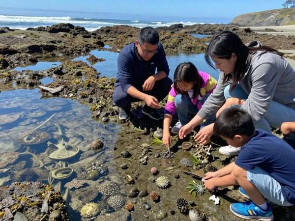 Tide pools near Cabrillo Beach with children exploring Tide pools near Cabrillo Beach with children exploring