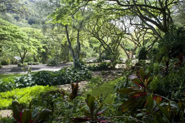 Waimea Valley and Bay, weekend getaways from Honolulu