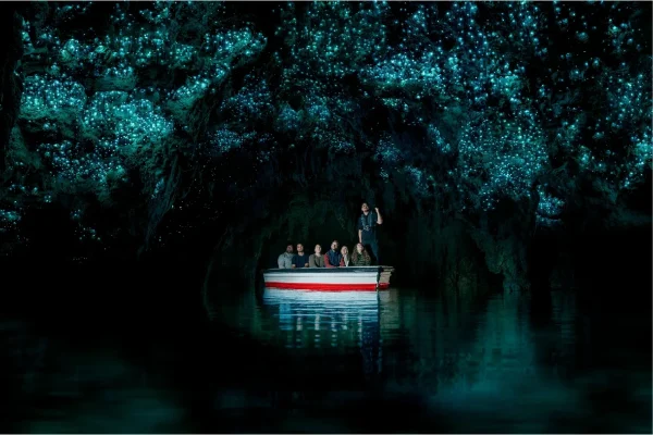 Waitomo Glowworm Caves, day trips from Auckland