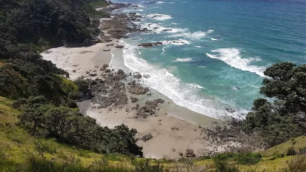 Mangawhai Heads, day trips from Auckland