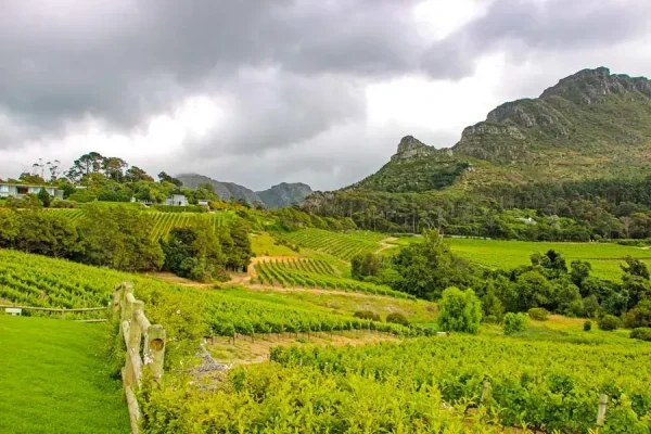 Constantia Wine Valley, weekend trips from Cape Town