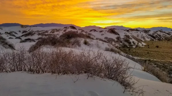 White Sands National Park: Gypsum Wonderland, day trips from Albuquerque