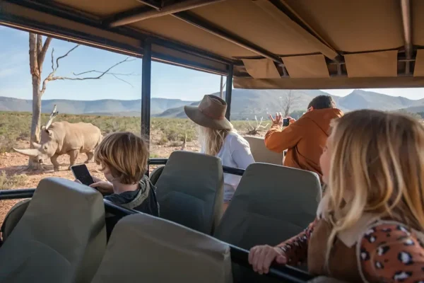 Safari Day Trips from Cape Town